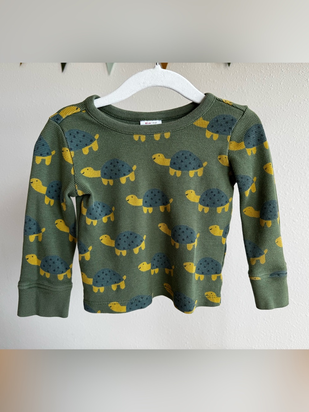 HANNA ANDERSSON | Green Friendly Turtle Waffle Knit Shirt